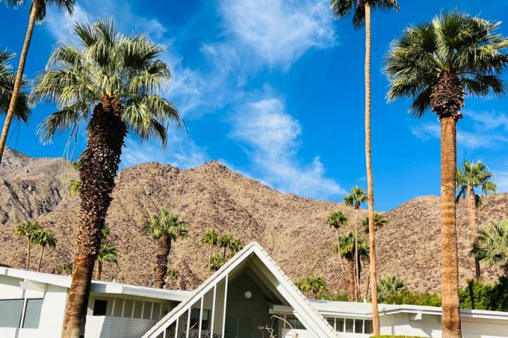 a large lawn in front of a house in palm springs on a group tour
