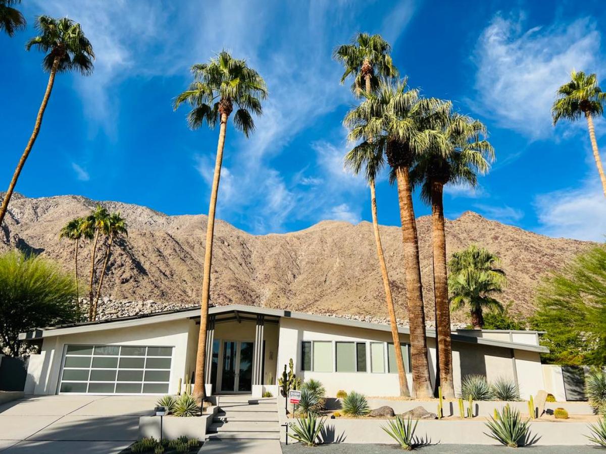 a palm tree in front of a building in downtown palm springs