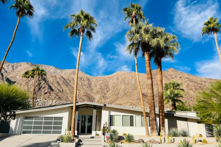 a palm tree in front of a building in downtown palm springs