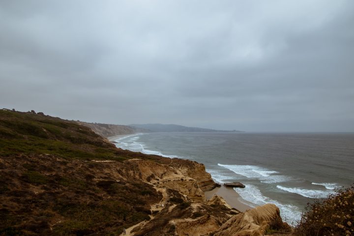a close up of a hillside next to a body of water