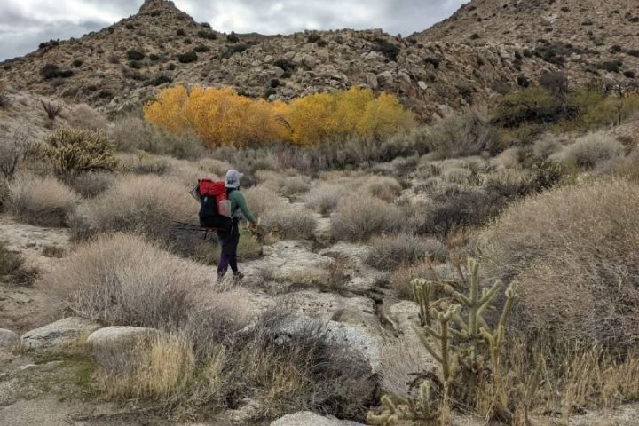 a man standing on a rocky hill