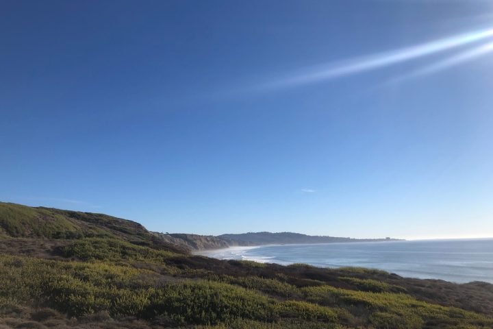 a close up of a hillside