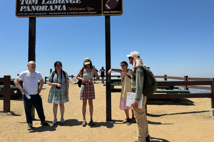 On top of mount Hollywood