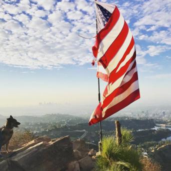 a close up of a flag