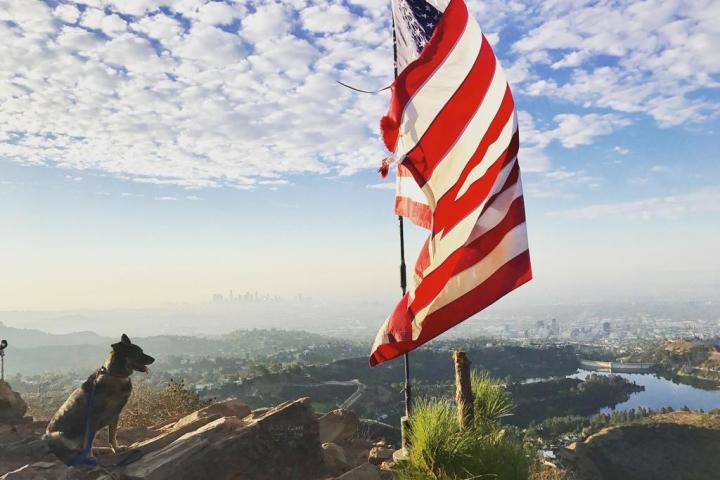 a close up of a flag