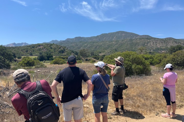 a group of people standing on top of a mountain