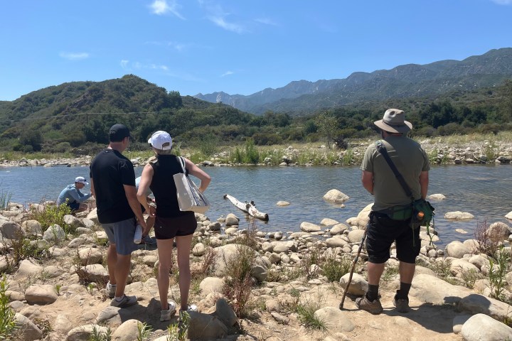 a group of people standing on a rocky beach