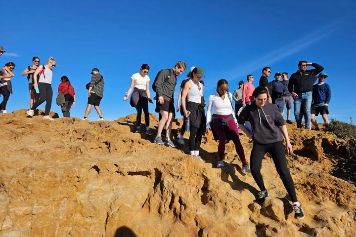 Torrey Pines Hike