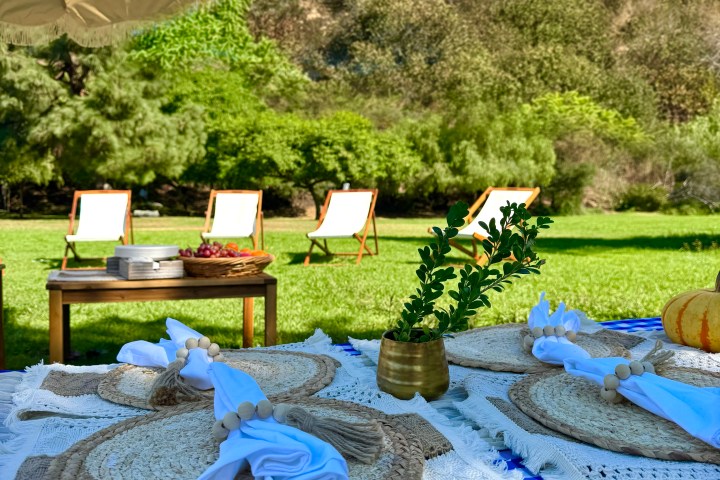 Picnic setup with blue checkered cloth, napkins, and Hollywood sign in the background.